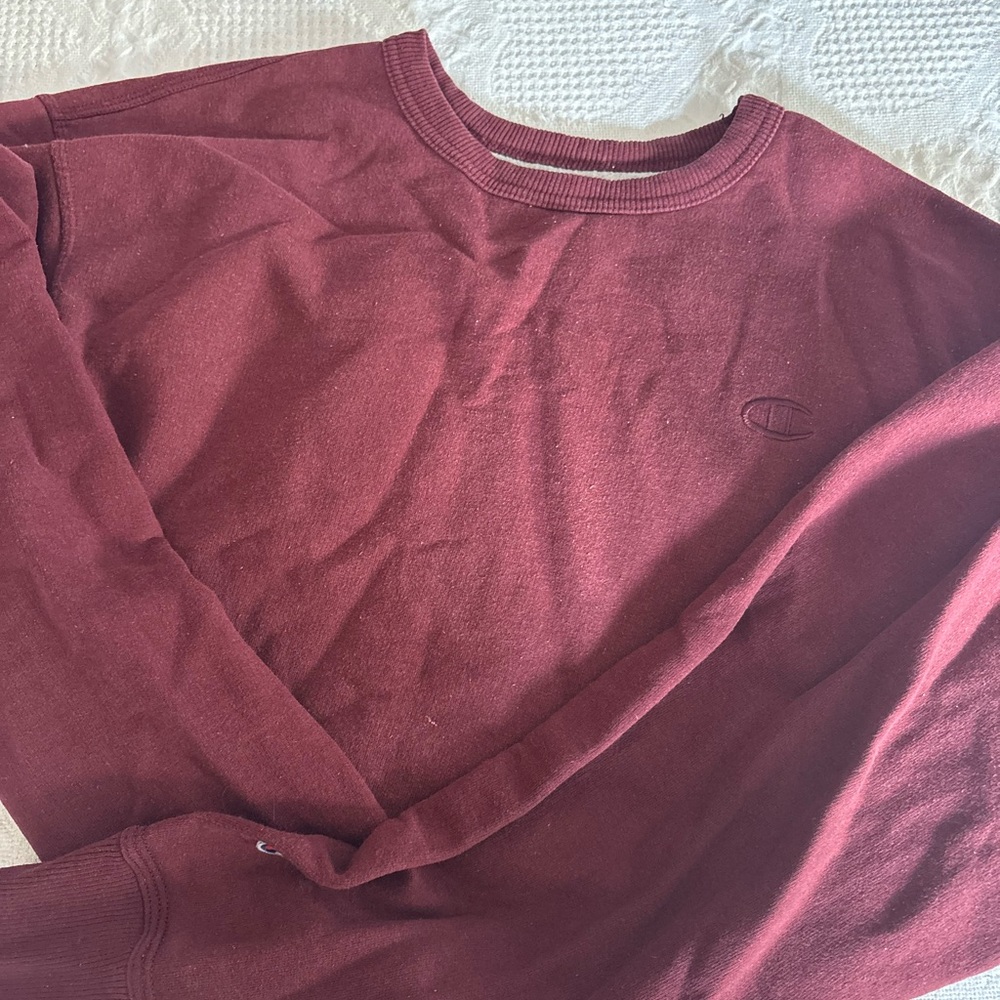 Champion Men's Burgundy Crewneck Sweater